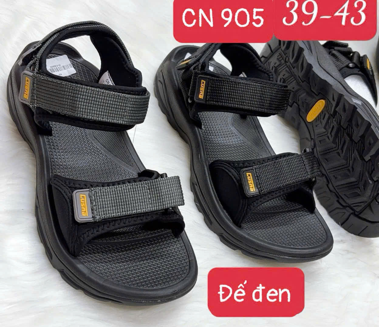 Cusna